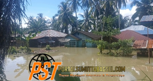 Ratusan Rumah Terdampak Banjir di Kelurahan Rianiate Kec.Angkola Sangkunur