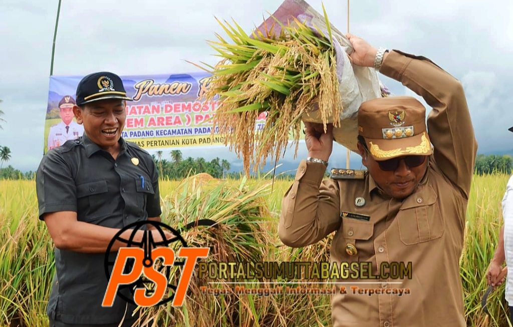 Pj Wali Kota Letnan Dalimunthe Lakukan Panen Raya Demonstrasi Area Padi Sawah di Desa Huta Padang