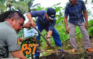 FKBPPPN Gelar Tanam Pohon se-Nusantara di Kecamatan Padangsidimpuan Selatan