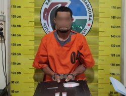 Pria Berinisial AMN, Residivis Narkoba Ditangkap di Padangsidimpuan