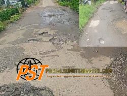 Diduga Tidak Pernah Mendapat Perhatian Jalan Provinsi Kecamatan Padangsidimpuan Angkola Julu Rusak Parah
