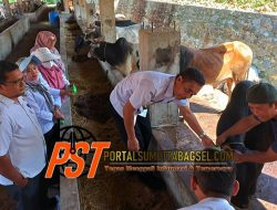 Jelang Idul Adha 1445 H, Dinas Pertanian Padangsidimpuan Lakukan Pemeriksaan Hewan Qurban