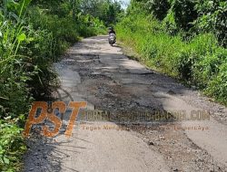 Jalan Provinsi Desa Rimba Soping Rusak Parah, Bertahun Tahun Tak Tersentuh Perbaikan