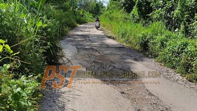 Jalan Provinsi Desa Rimba Soping Rusak Parah, Bertahun Tahun Tak Tersentuh Perbaikan