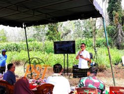 Disiarkan Secara zoom Dari Desa Pargarutan Julu, Bupati Tapsel Panen Raya Bersama Presiden RI