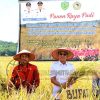 Bupati Gus Irawan Pasaribu Pimpin panen raya padi di Desa Pargarutan Jae