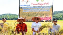 Bupati Gus Irawan Pasaribu Pimpin panen raya padi di Desa Pargarutan Jae