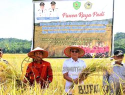 Bupati Gus Irawan Pasaribu Pimpin panen raya padi di Desa Pargarutan Jae