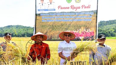 Bupati Gus Irawan Pasaribu Pimpin panen raya padi di Desa Pargarutan Jae