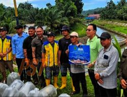 Bupati Tapsel Serius Wujudkan Swasembada Ikan, Incar Pasar Tabagsel