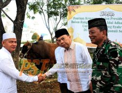 Wabup Tapsel Serahkan Sapi Kurban Presiden Prabowo ke panitia kurban Masjid Agung Syahrun Nur