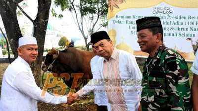 Wabup Tapsel Serahkan Sapi Kurban Presiden Prabowo ke panitia kurban Masjid Agung Syahrun Nur