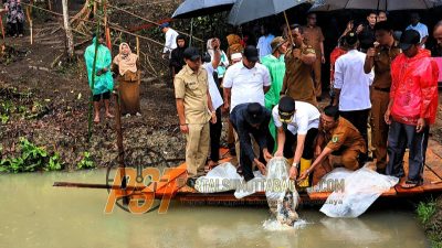 Pemkab Tapsel Dorong Kemandirian Ekonomi Lewat Program Swasembada Ikan 1.000 Kolam