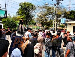 Aliansi Pemersatu Kota Padangsidimpuan Desak Kajari Mundur Dari Jabatan