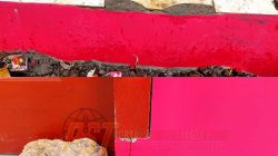 Kinerja Oknum Pejabat Disdik Tapsel Disorot : Bangunan Proyek Fisik Tahun 2025 Sudah Ada Yang Rusak