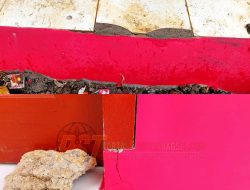 Kinerja Oknum Pejabat Disdik Tapsel Disorot : Bangunan Proyek Fisik Tahun 2025 Sudah Ada Yang Rusak