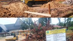 Mobil Pengangkut Sampah BMN Di Lingkungan DLH Palas DiPertanyakan