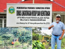 Rampas Setia 08 Apresiasi Kinerja Gakkum Amankan Alat Berat Yang Diduga Terlibat Penebangan Pohon di Bulu Mario