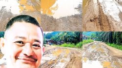 Desakan Tegas! Ketua DPD WIB Minta Kejari Tapsel Periksa PPK, Pengawas, dan Pemborong Proyek Jalan Baringin-Sibara Bara