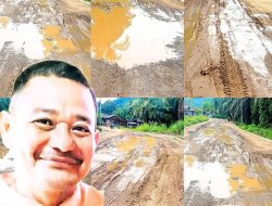 Desakan Tegas! Ketua DPD WIB Minta Kejari Tapsel Periksa PPK, Pengawas, dan Pemborong Proyek Jalan Baringin-Sibara Bara