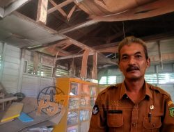 Ruang Perpustakaan SD Negeri 1001 Batang Bulu Kecamatan Barsel Butuh Perhatian