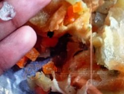 Temuan Dugaan Pecahan Kaca dalam Risol MBG di Sekolah Swasta, WIB Minta Polisi Selidiki